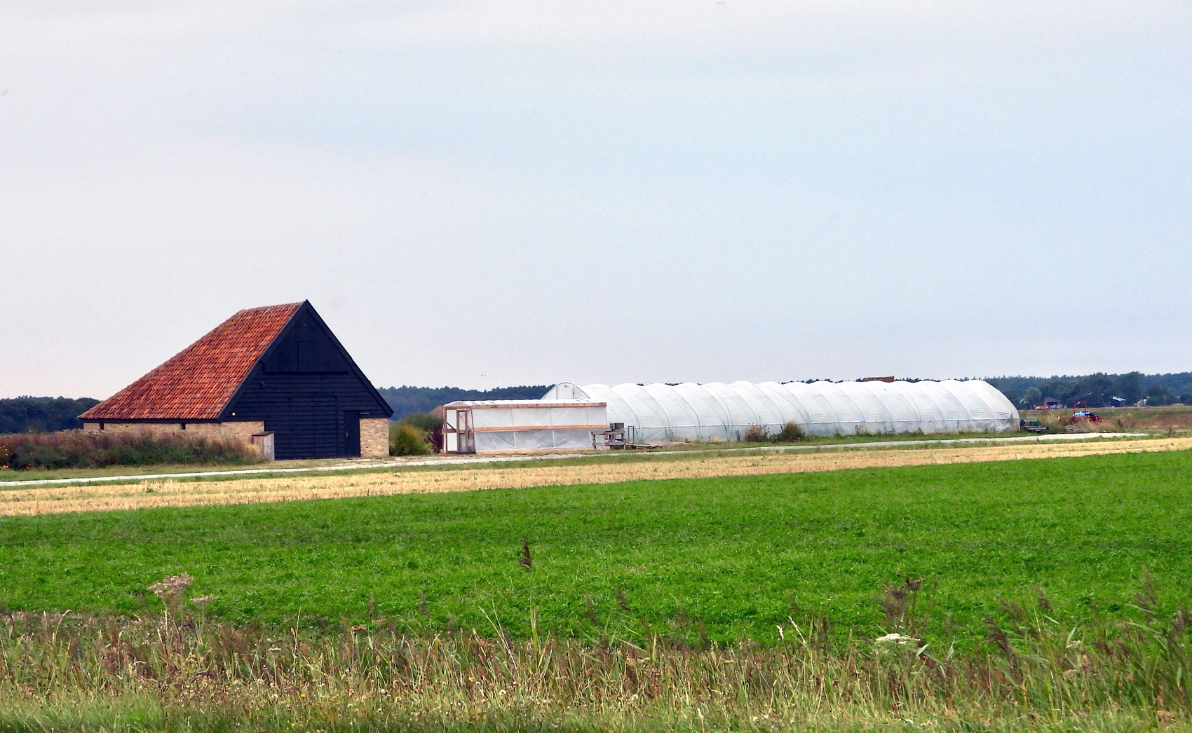 Folietunnel Hoornderweg 42