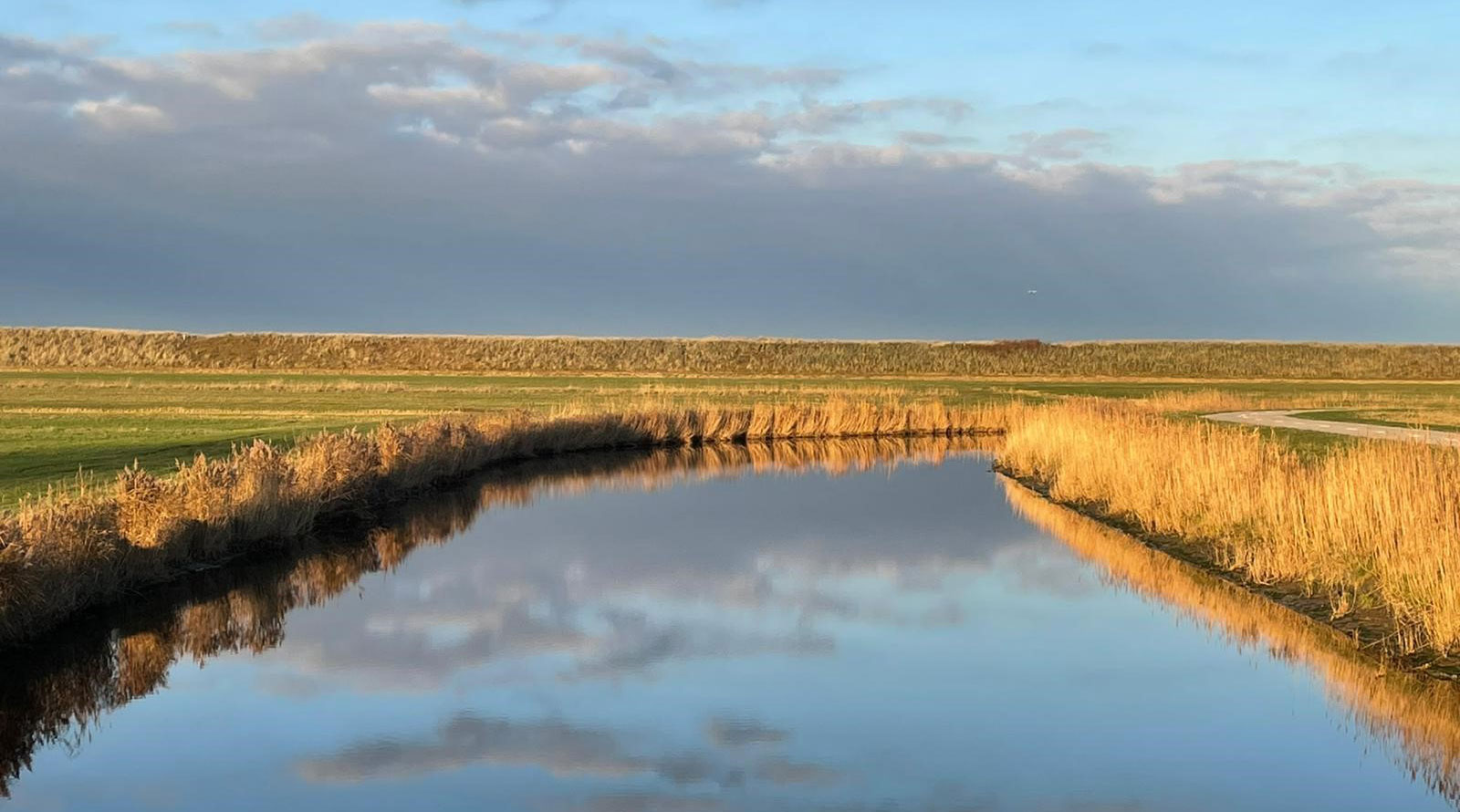 waddenkant