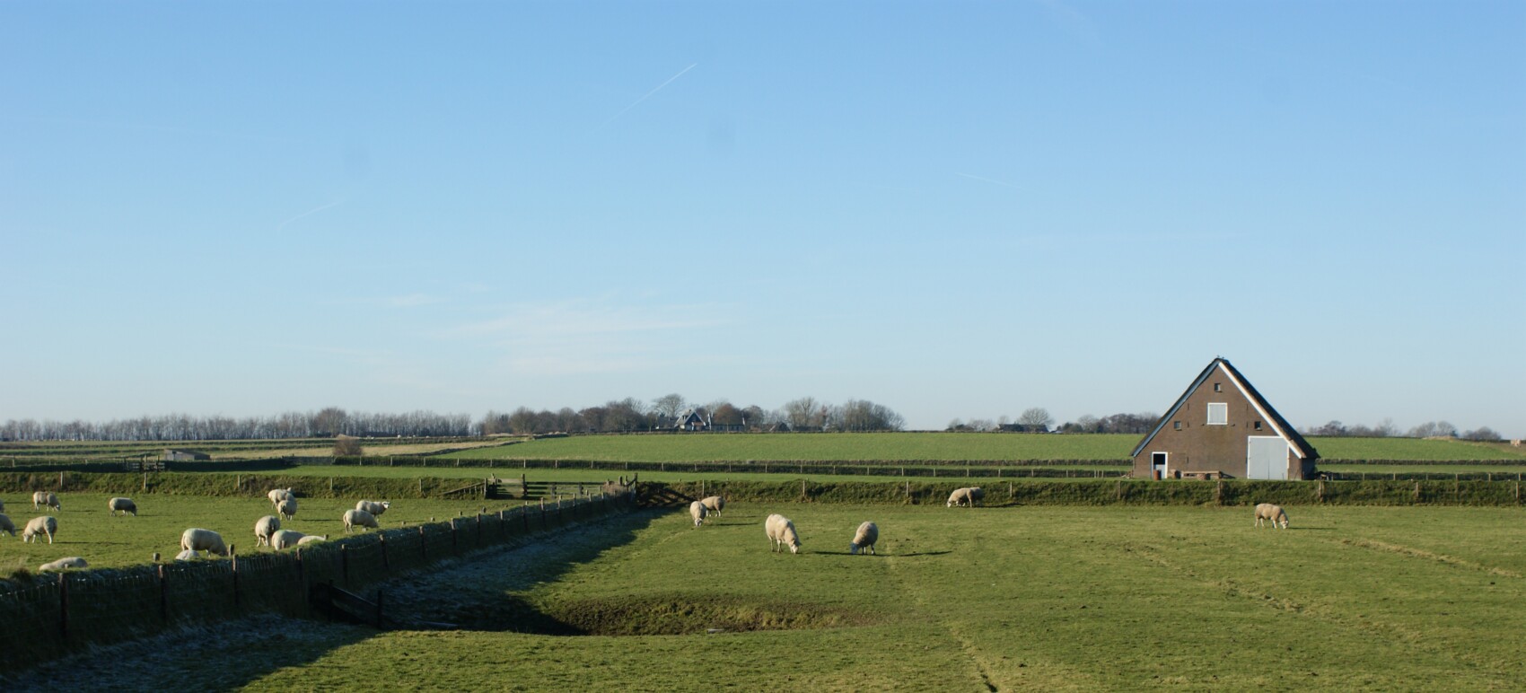 Foto Jan Boon op 230208