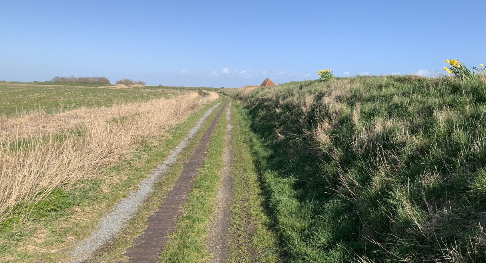 Paardenpad langs dijk Buutediek